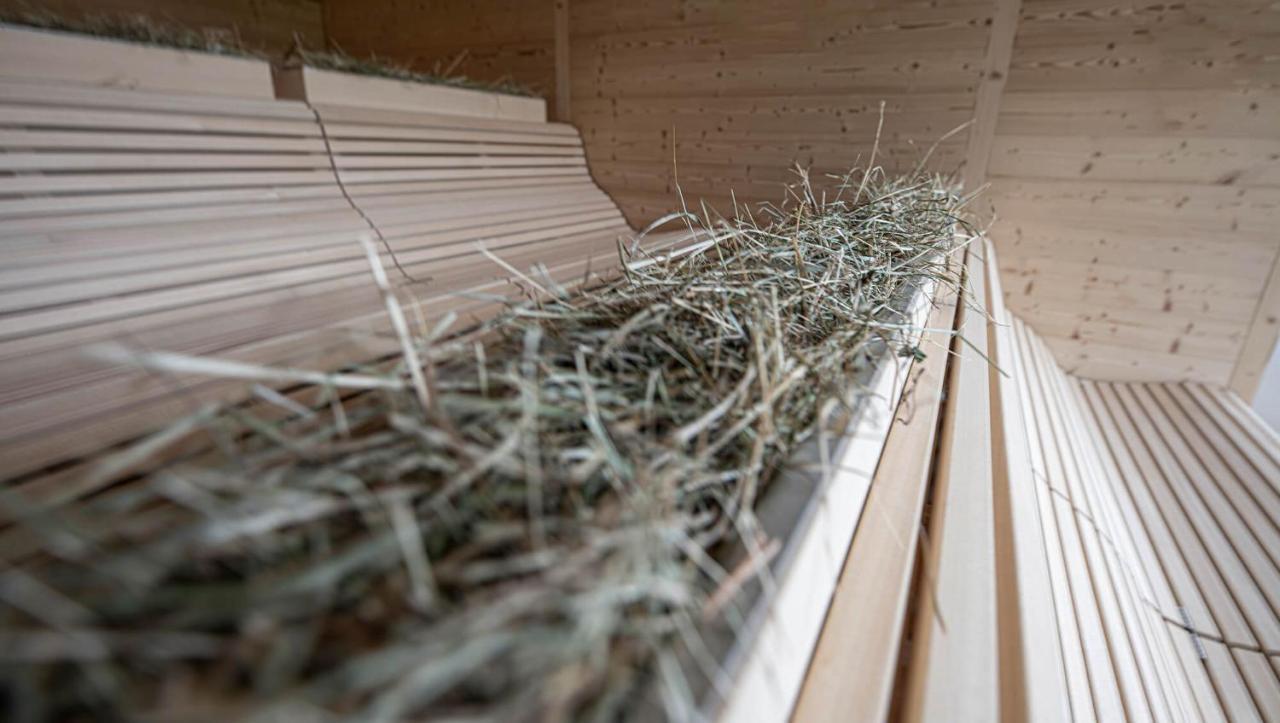 Inns Holz أليتشيسبيرغ المظهر الخارجي الصورة